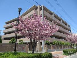 芦屋さくら通りパーク・ホームズ