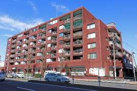 パシフィックニュー自由が丘