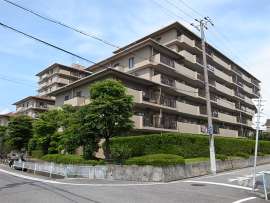 ジークレフ上甲子園