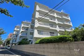 ディックピア用賀