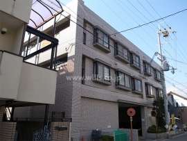 グレーシァス甲子園