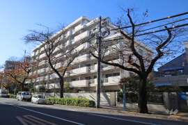 パシフィックニュー中野