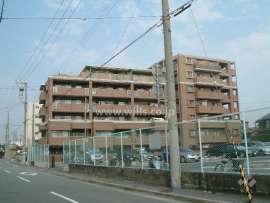 ネオグランデ甲子園