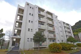 若山台第1住宅29号棟