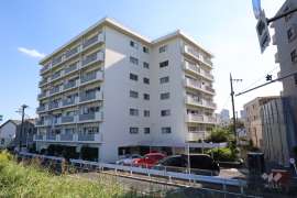 ニュー玉川マンション