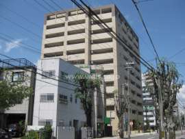 セーリオ西宮アヴェニス