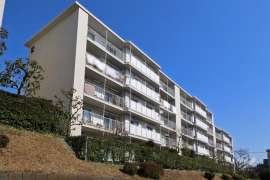 向ヶ丘遊園センチュリータウン12号棟