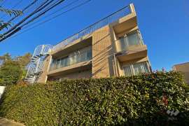 エルサフィーロ25