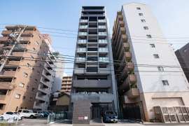 ディアレイシャス金山