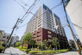 ルネフレシール