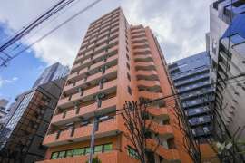 ライオンズマンション東本町第3