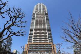 エルザタワー55