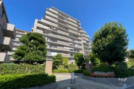 アメニクス川口