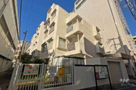 ダイアパレス三河島