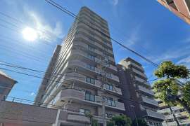 ライオンズマンション綾瀬谷中公園