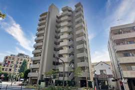 ゼファー大山ファムエール