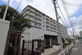 ハイネス上板橋