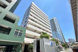 白鳩マンション