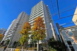 ザ・パークハウス赤羽イーストウイング