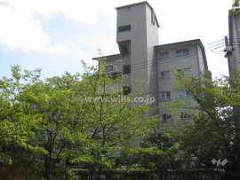 芦屋緑2住宅 5号棟