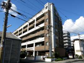 セレッソコート住吉川公園