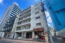 上野スカイハイツ