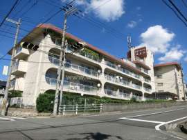 スターハイツ住吉川