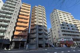 レックス大塚山の手台