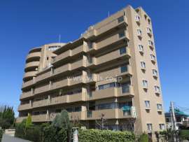 ネバーランド茨木さくら通り