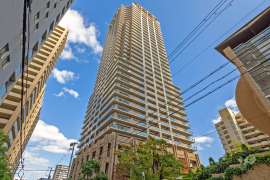 コムズシティ野江D棟