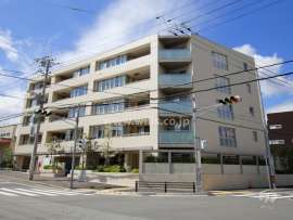 サンクタス苦楽園北夙川通り