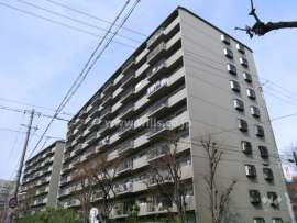 緑地グランドマンション１棟