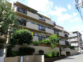 ダイアパレス魚崎