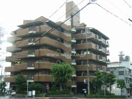 ハイネス緑地公園　