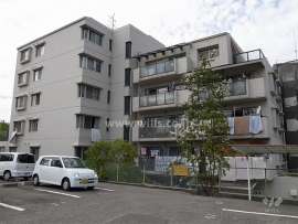 ダイドーマンション桃山台