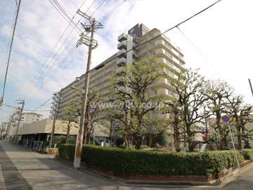 新高レックスマンションの外観（北西側から）