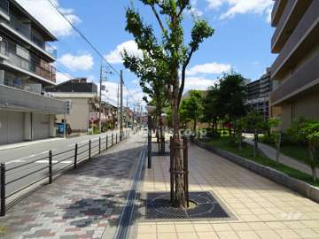敷地周辺には広い歩道があります。