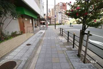 敷地北側の前面道路