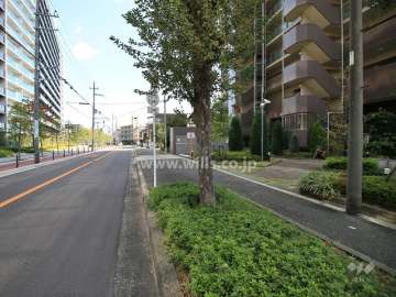 敷地北側の前面道路