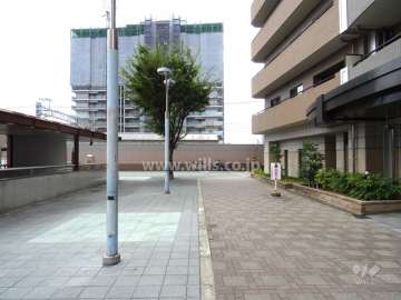 敷地東側の前面道路(北側から)