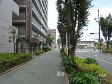 敷地北東側の前面道路(南東側から)