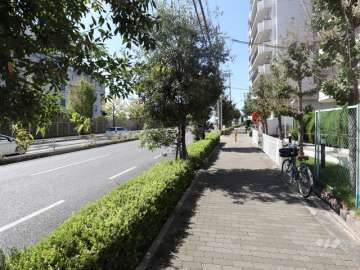 敷地南側の前面道路