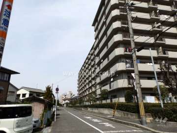 敷地南西側の前面道路