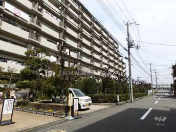 敷地南東側の前面道路