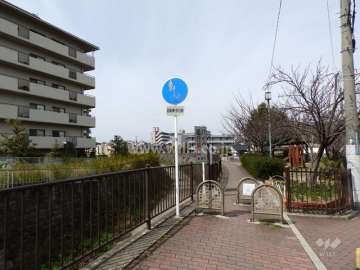 敷地北東側の前面道路（川沿いの遊歩道）