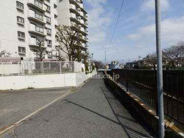 敷地東側前面道路(北側から)