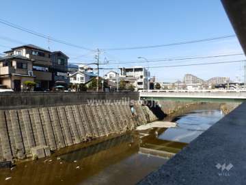 道を挟んで山田川が流れています。
