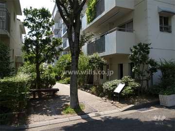 敷地南側は緑道に面しています。