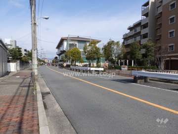 敷地南側前面道路