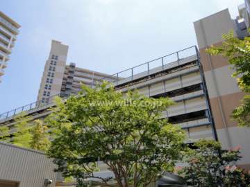 駐車場棟の壁面にも一部植栽スペースがあります。